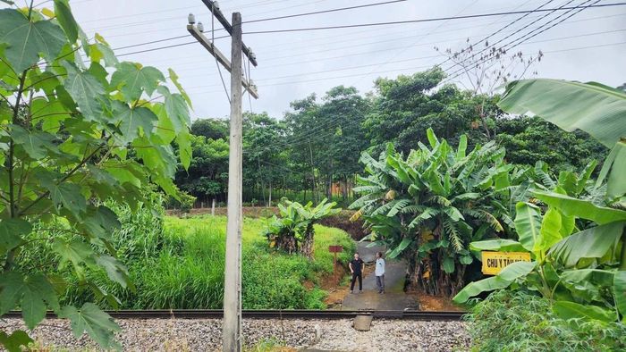 Việc đảm bảo an toàn hành lang lưới điện khu vực đường sắt là hết sức cần thiết.