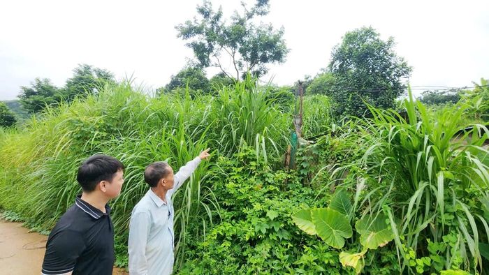 Việc kéo điện tự phát không chỉ tiềm ẩn nguy cơ mất an toàn điện.