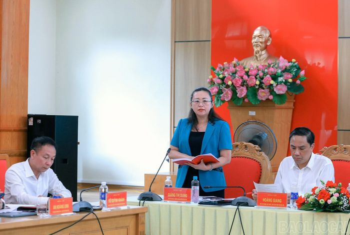 Các đồng chí Thường trực Tỉnh ủy phát biểu tại buổi làm việc.