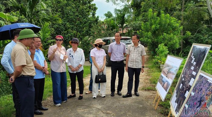 Đoàn công tác khảo sát tại khu vực đê Việt Thành