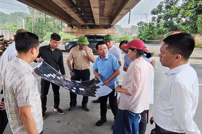 Đoàn công tác khảo sát tại khu vực cầu Yên Bái.