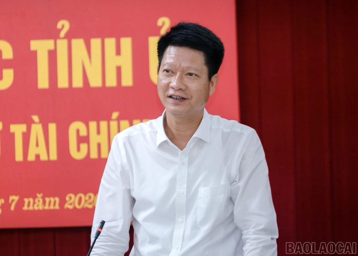 Các đồng chí Thường trực Tỉnh ủy phát biểu tại buổi làm việc.