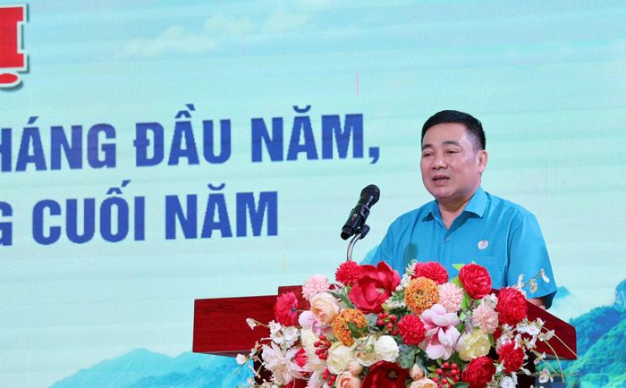Đồng chí Phan Huy Cường - Phó Chủ tịch Liên đoàn Lao động tỉnh phát biểu tại hội nghị.