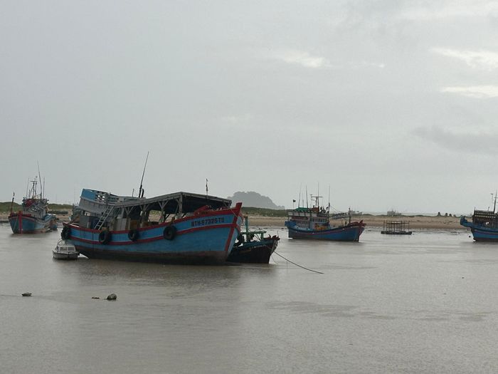 Tàu cá của ngư dân ra vào tại cửa biển La Gi