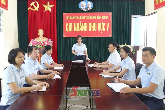 Chi nhánh khu vực V, Quỹ Bảo vệ và Phát triển rừng tỉnh triển khai nhiệm vụ.