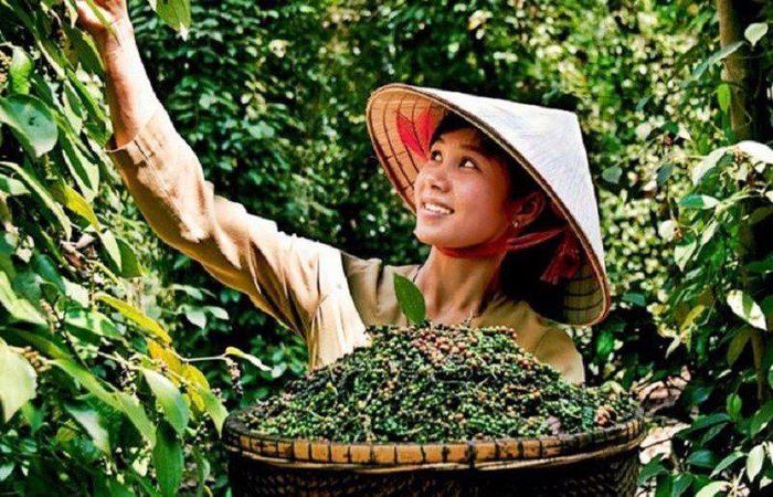 Ảnh minh họa: chinhphu.vn