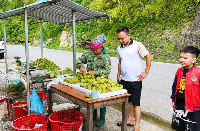 Khách hàng dừng chân mua quả đào bày bán tại đèo Gió.