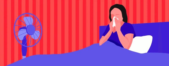 Ảnh minh họa: Manta Sleep