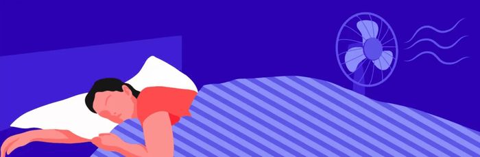Ảnh minh họa: Manta Sleep