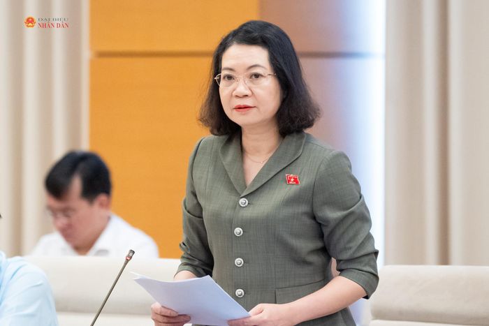 Phó Chủ nhiệm Ủy ban Pháp luật và Tư pháp Mai Thị Phương Hoa trình bày báo cáo thẩm tra sơ bộ dự án Nghị quyết