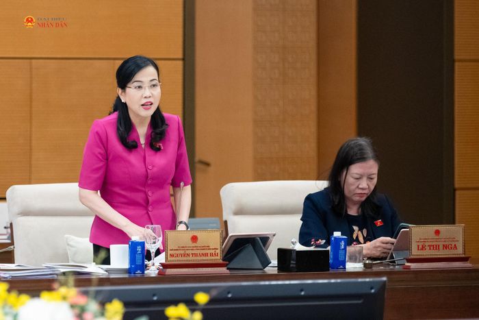 Chủ nhiệm Ủy ban Khoa học, Công nghệ và Môi trường Nguyễn Thanh Hải phát biểu tại phiên họp