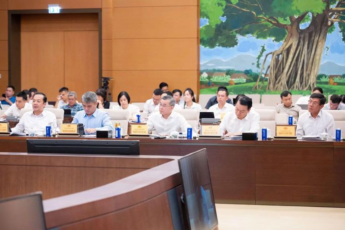  Các đại biểu dự phiên họp. 