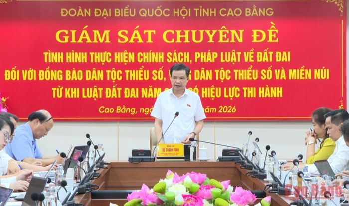 Đồng chí Bế Thanh Tịnh, Phó Bí thư Thường trực Tỉnh ủy, Trưởng Đoàn đại biểu Quốc hội tỉnh phát biểu kết luận buổi giám sát.