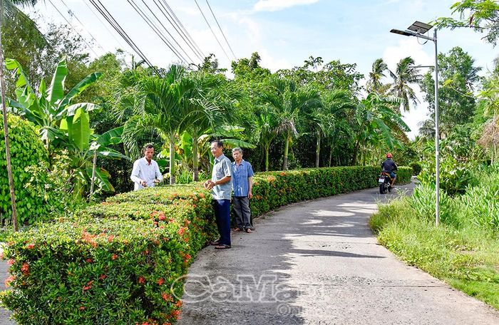 Theo nhịp đi lên của tỉnh nhà, diện mạo những miền quê cách mạng không ngừng khởi sắc.