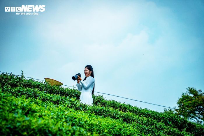 Những ngày cuối tháng 7, đầu tháng 8 cũng là thời điểm thích hợp nhất để du khách có thể check-in tại những đồi chè xanh mướt. (Ảnh: Đinh Hùng)
