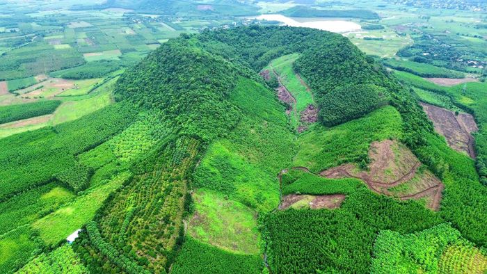 Cận cảnh núi lửa Mái Nhà, thôn Sơn Trường, xã Sơn Thành, tỉnh Đắk Lắk. (Nguồn: BQL Công viên Địa chất Phú Yên)