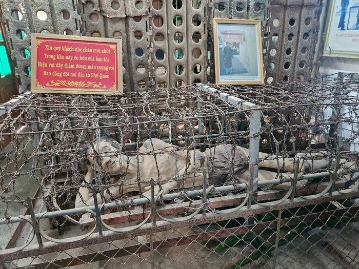 Bảo tàng tái hiện hình ảnh chiến sĩ cách mạng bị đọa đày, tra tấn nhưng vẫn luôn kiên cường, bất khuất. Ảnh: PV
