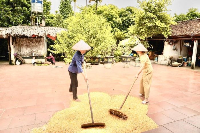 Lao động vất vả trong thời gian dài dưới nắng nóng tiềm ẩn nhiều hệ lụy với sức khỏe. Ảnh minh họa