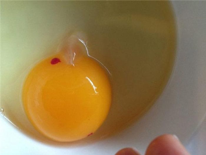 Trong đa số trường hợp, trứng có đốm máu vẫn an toàn để sử dụng nếu là trứng còn tươi.