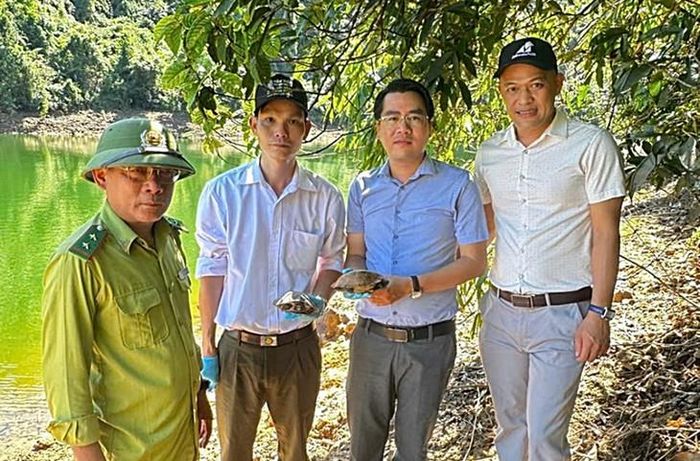 Các bộ phường và cán bộ kiểm lâm trực tiếp thả 2 chú rùa quý hiếm về rừng. Ảnh: BVTY