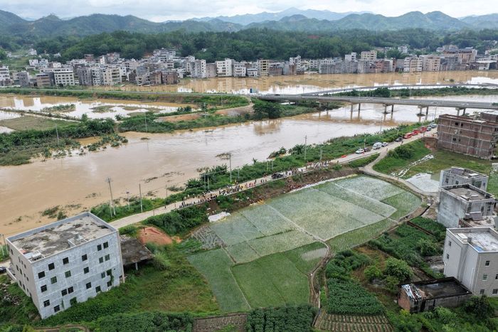  Nhiều ngôi làng tại tỉnh Quảng Đông, Trung Quốc, bị nước lũ bao vây sau mưa lớn do ảnh hưởng của bão Noul, ngày 27/7. Ảnh: Reuters.