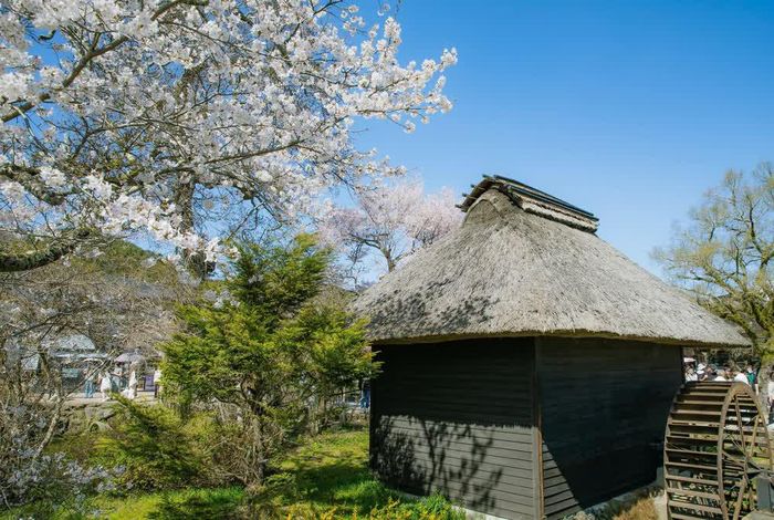 Oshino Hakkai là một phần của Di sản Thế giới của khu vực núi Phú Sĩ được UNESCO công nhận năm 2013 và là Danh thắng quốc gia Nhật Bản. Ảnh: Xuân Giao – PV TTXVN tại Nhật Bản