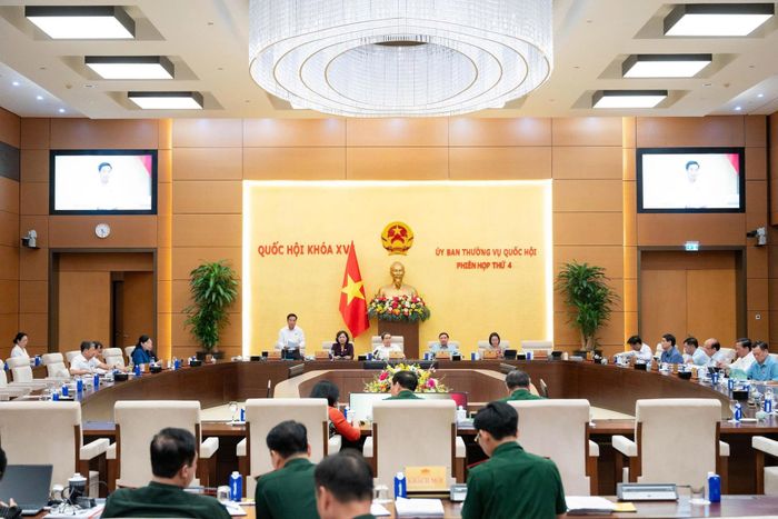 Phó Chủ tịch Quốc hội, Thượng tướng Nguyễn Doãn Anh phát biểu kết luận Phiên họp