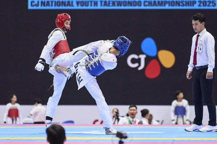 CJ Vietnam Open 2026 quy tụ 167 võ sĩ từ 15 quốc gia. Ảnh:BTC