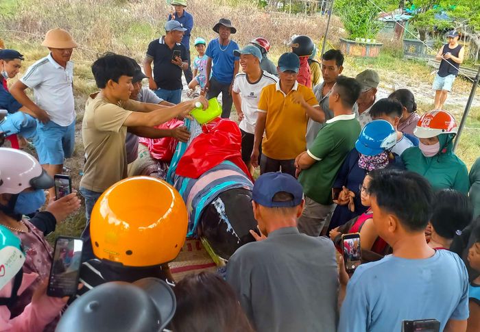 Người dân thường xuyên tưới nước cho cá voi để giữ ẩm. Ảnh: NGUYỄN TRANG 