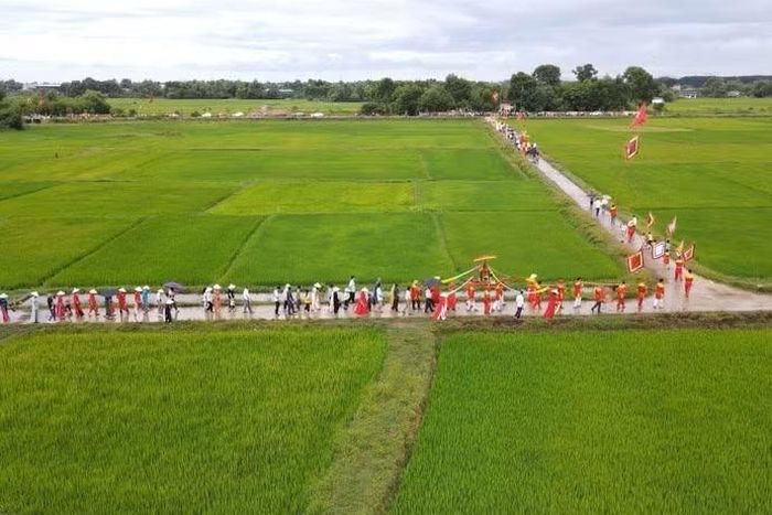 Đền làng nằm giữa cánh đồng xanh ngát.