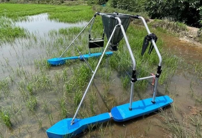 Thiết bị gieo hạt, bón phân, phun thuốc do PGS.TS Vũ Ngọc Ánh và cộng sự phát triển được thử nghiệm trên ruộng lúa ở ngoại ô TPHCM. Ảnh: Hà An