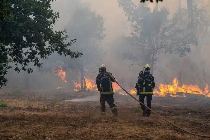 Trong chuyến thăm vùng Gironde hôm 27/7, ông Macron nói: "Pháp đang đối mặt với một vụ cháy rừng chưa từng có tiền lệ. Tình hình mà người dân đang đối phó là nghiêm trọng nhất mà chúng ta từng ghi nhận".