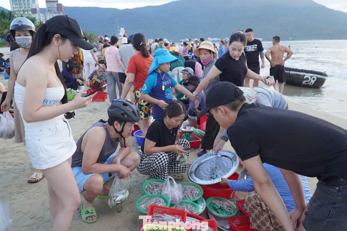 Những khay mực tươi nguyên vừa mới vớt từ biển lên. Nhiều du khách cho hay nơi họ sống không có biển, không dễ gì được ăn hải sản tươi ngon như vậy.