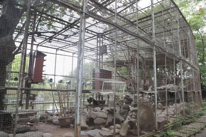 Một trong những hạng mục được đầu tư nhiều công sức nhất là vườn chim rộng hàng nghìn mét vuông. Theo Khánh Ly, khu vực này hiện nuôi hơn 1.000 cá thể chim, vẹt và bồ câu. Ông xã cô dành nhiều năm sưu tầm các giống chim, đồng thời trực tiếp tham gia thi công vườn chim trong hơn một năm để mọi chi tiết đúng với thiết kế ban đầu.