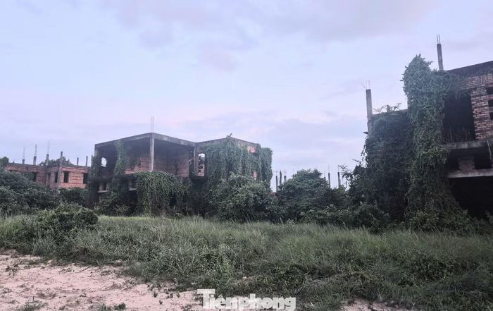 Thực trạng hàng loạt dự án “treo”, chậm triển khai không chỉ gây lãng phí nguồn lực đất đai mà còn ảnh hưởng đến quy hoạch phát triển đô thị, đời sống người dân khu vực.