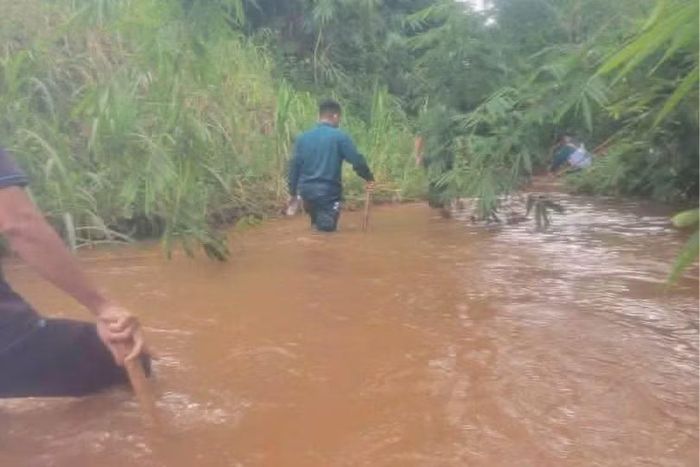 Các lực lượng và người dân lội suối tìm kiếm sinh vật lạ nghi cá sấu
