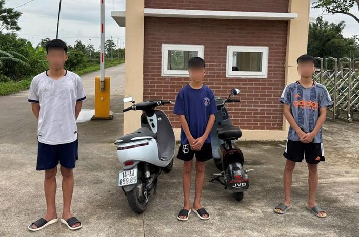  Các trường hợp vi phạm bị xử lý.