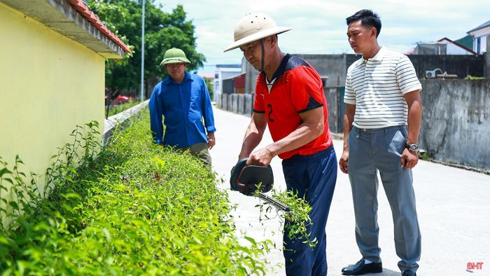 Tại Sơn Hải, nhờ sự đồng lòng, chung sức của Nhân dân, nhiều tuyến đường đã được phủ xanh bằng những hàng rào cây xanh, góp phần làm đổi thay diện mạo nông thôn.