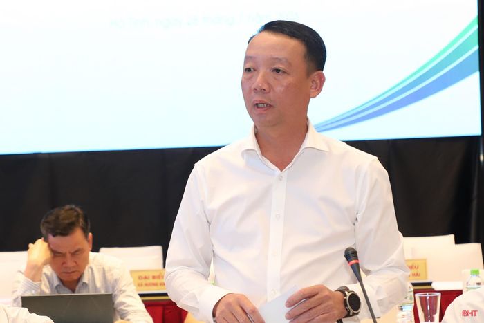 Chủ tịch UBND tỉnh Phan Thiên Định phát biểu tại buổi làm việc.