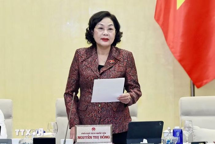 Phó Chủ tịch Quốc hội Nguyễn Thị Hồng phát biểu. (Ảnh: Doãn Tấn/TTXVN)