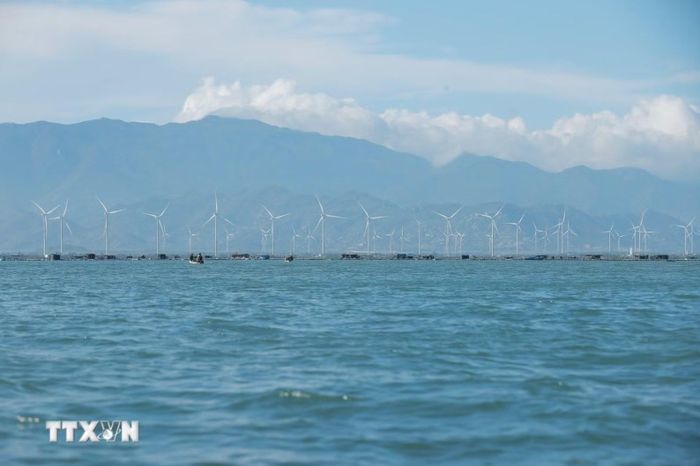 Việt Nam được đánh giá có tiềm năng rất lớn về điện gió ngoài khơi. (Ảnh: Minh Quyết/TTXVN)