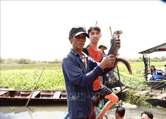 Nông dân và du khách khoe thành phẩm dỡ chà cá. Ảnh: Hồng Nhung/TTXVN