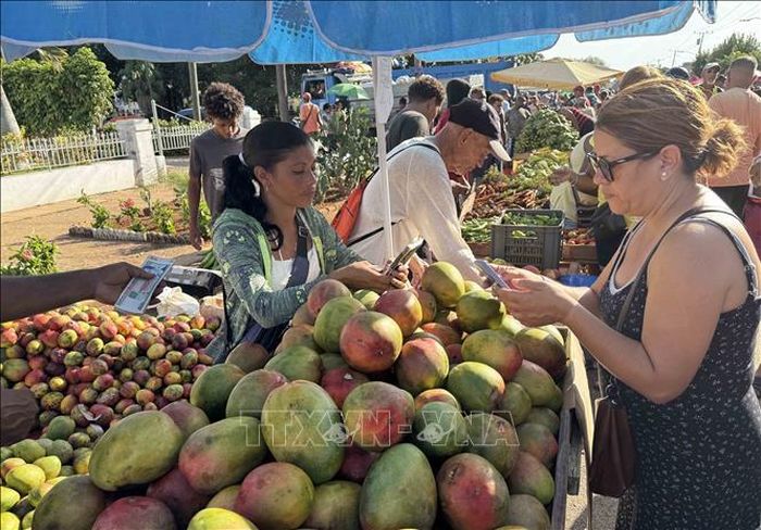 Cuba, đất nước của xoài.
