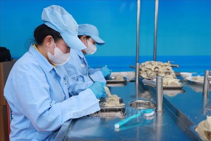 Yến sào Khánh Hòa là sản phẩm đặc hữu và thương hiệu quốc gia đã được Cục Sở hữu Trí tuệ bảo hộ độc quyền.