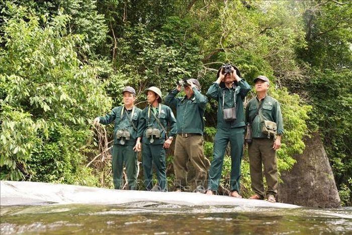 Các nhóm tiên phong bảo tồn Chà vá chân xám tại địa phương hỗ trợ hiệu quả trong công tác tuần tra, giám sát, phát hiện vi phạm và tuyên truyền nâng cao nhận thức về bảo tồn động vật hoang dã. Ảnh: Hữu Vỹ/TTXVN phát