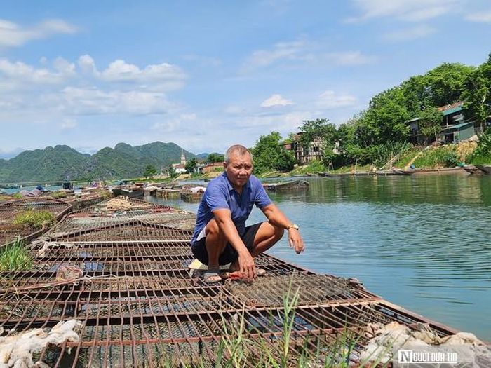 Ông Tâm đã có gấn 30 năm gắn bó với nghề nuôi cá lồng trên sông Son.