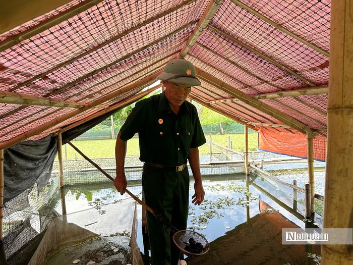 Sau nhiều năm, mô hình của gia đình đã có nguồn thu nhập ổn định.