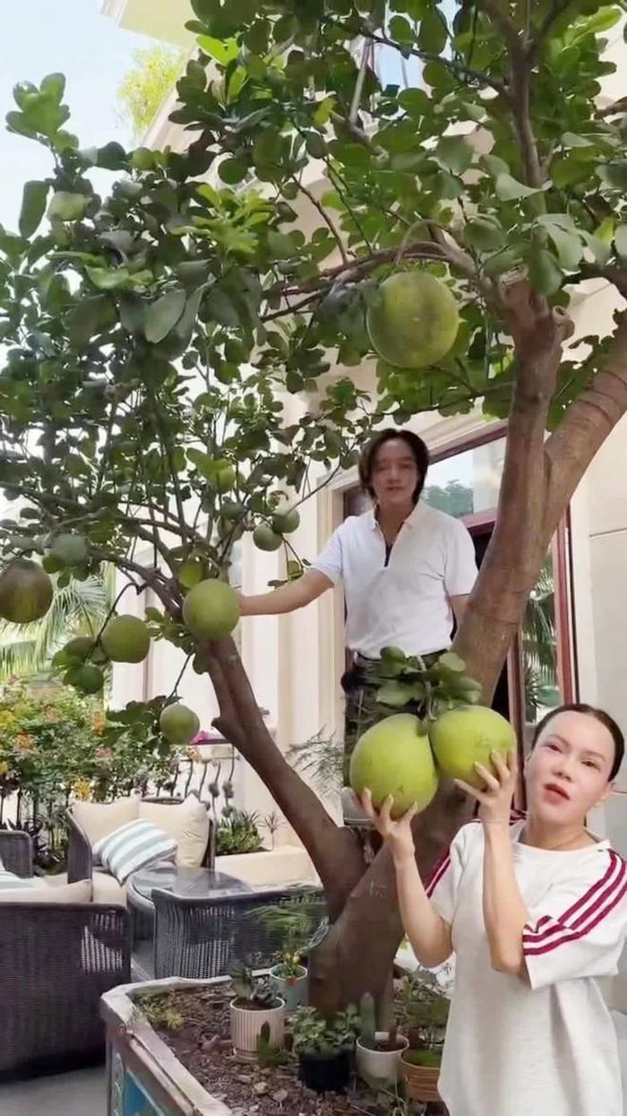 Những góc bên trong nhà đều được vợ chồng Việt Hương chăm chút kỹ lưỡng. Cả hai còn có khu vườn ngập tràn cây trái ngay trong khuôn viên biệt thự. Ảnh Internet.