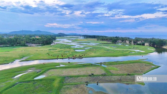 Những năm gần đây, cùng với cảnh quan thiên nhiên còn nguyên nét hoang sơ, đầm An Khê dần trở thành điểm đến hấp dẫn của du khách. 