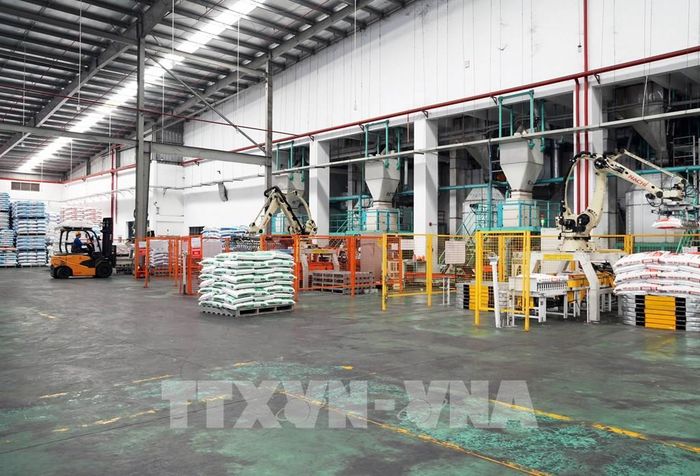 Công nhân sản xuất tại Công ty TNHH Sinh vật Thăng Long trong Khu công nghiệp Hòa Phú, tỉnh Vĩnh Long. Ảnh: Phạm Minh Tuấn - TTXVN